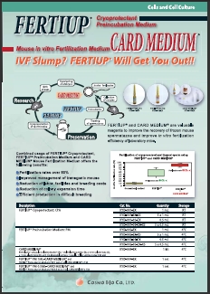 小鼠精子冻存液和体外受精培养基