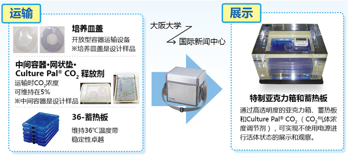 活细胞·活体组织保温运输新体验——三博特iP-TEC®