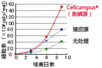 细胞培养Wako和光细胞培养Cellcampus &#174; 鳞源I型胶原-细胞培养