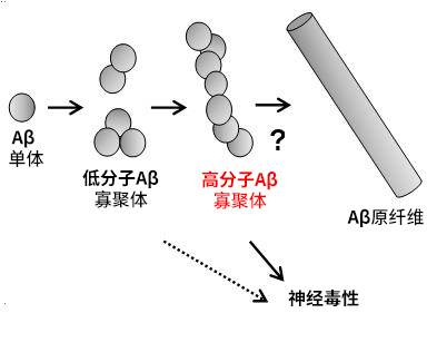 Wako 高分子β-淀粉样蛋白寡聚体ELISA试剂盒-WAKO和光纯药