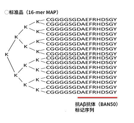 Wako 高分子β-淀粉样蛋白寡聚体ELISA试剂盒-WAKO和光纯药