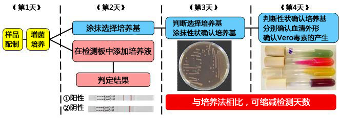 NH免疫层析系列