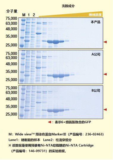 Ni-NTA琼脂糖用于蛋白提取