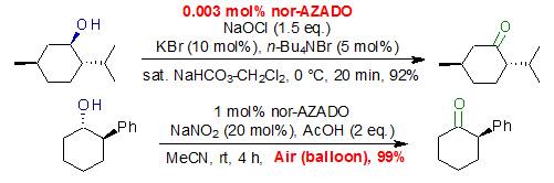 1-Methyl-2-azaadamantane-N-oxyl-WAKO和光纯药