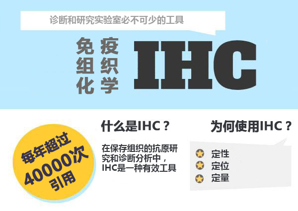 Enzo IHC免疫组化产品促销活动 MultiView® 通用组织微阵列-价格-厂家-供应商-上海金畔生物科技有限公司