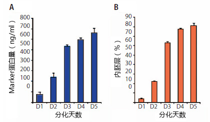 内胚层监测试剂盒-价格-厂家-供应商-上海金畔生物科技有限公司