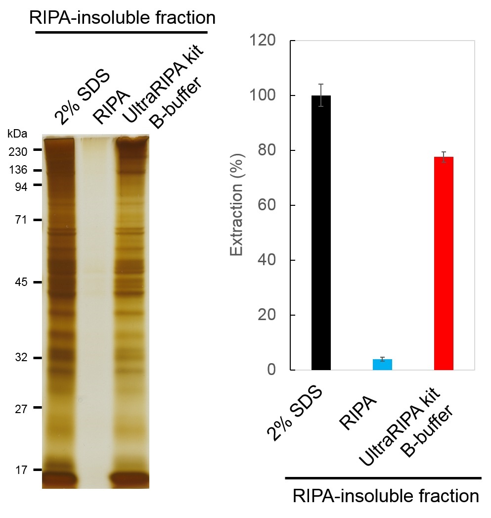 UltraRIPA 脂筏提取缓冲液套装 UltraRIPA kit for Lipid Raft（和光纯药工业株式会社）