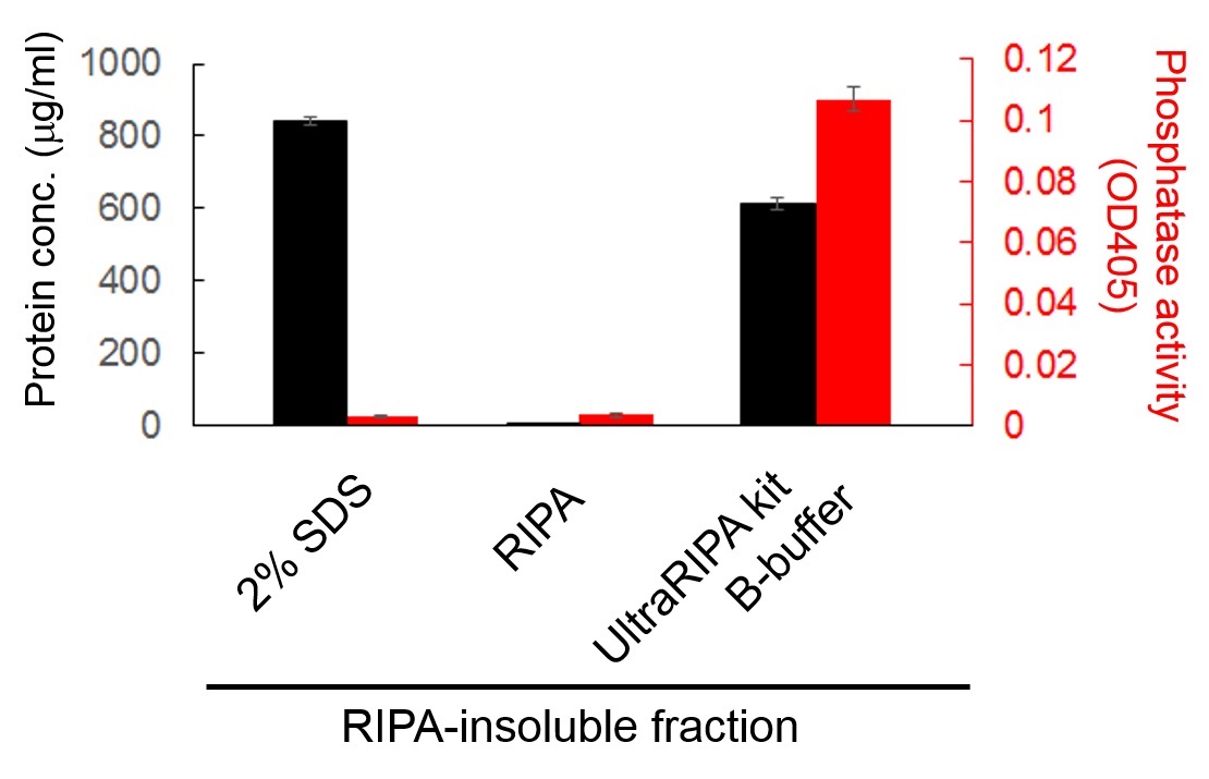 UltraRIPA 脂筏提取缓冲液套装 UltraRIPA kit for Lipid Raft（和光纯药工业株式会社）