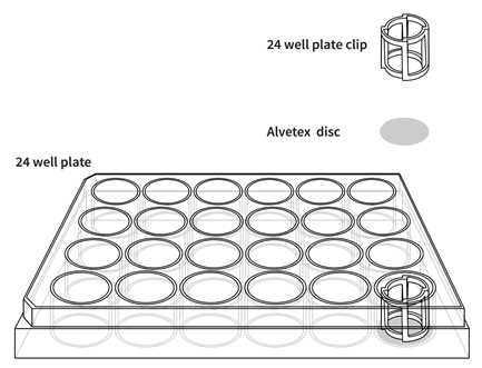 Alvete&trade; 3D细胞培养系统-细胞培养板-wako富士胶片和光