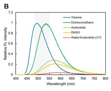 LipiDye®  Ⅱ                              高灵敏度脂滴长时间成像荧光染料