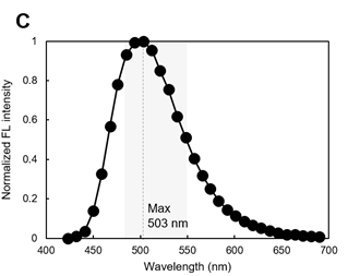 LipiDye®  Ⅱ                              高灵敏度脂滴长时间成像荧光染料