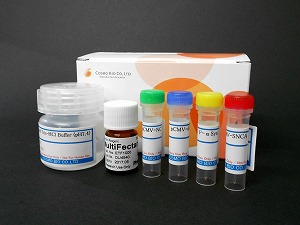 α-突触核蛋白聚集检测试剂盒                              (ALPHA)-Synuclein Aggregation Assay Kit