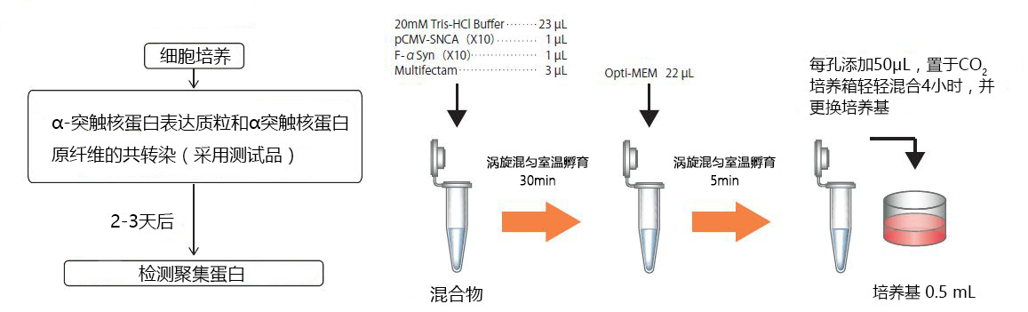 α-突触核蛋白聚集检测试剂盒                              (ALPHA)-Synuclein Aggregation Assay Kit