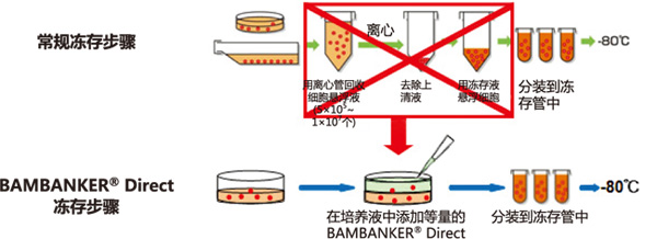 BAMBANKER® 无血清细胞冻存液                              BAMBANKER®