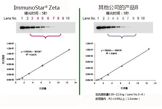 免疫印迹用化学发光试剂 ImmunoStar® 系列