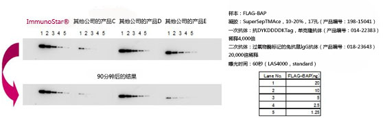 免疫印迹用化学发光试剂 ImmunoStar® 系列