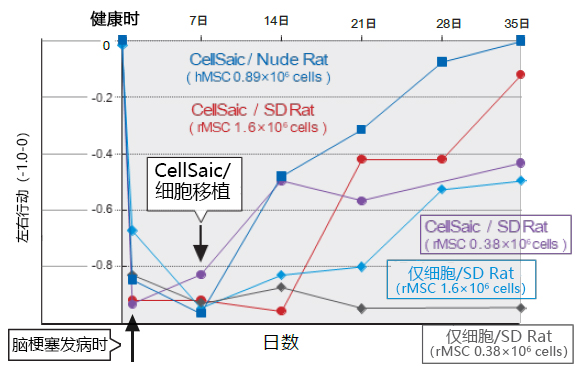 Cellnest μ-piece                              由人I型胶原蛋白重组多肽形成的新型细胞支架