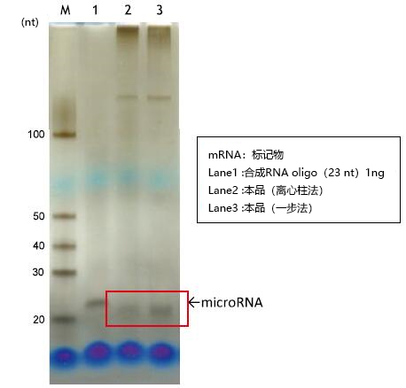 磁珠型microRNA分离试剂盒