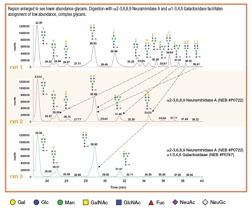 N-Glycan Sequencing Kit |