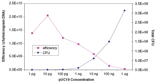 Turbo E. coli 电转感受态细胞 |