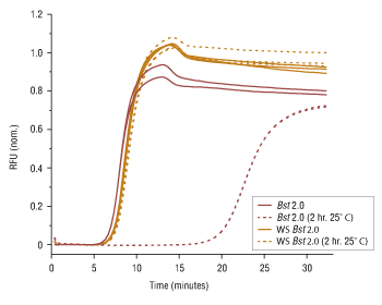 Bst 2.0 WarmStart DNA Polymerase |