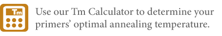 OneTaq® 热启动 Quick-Load® 2X 预混液（提供标准缓冲液） |