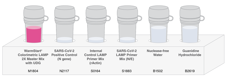 SARS-CoV-2 LAMP 快速变色检测试剂盒 |