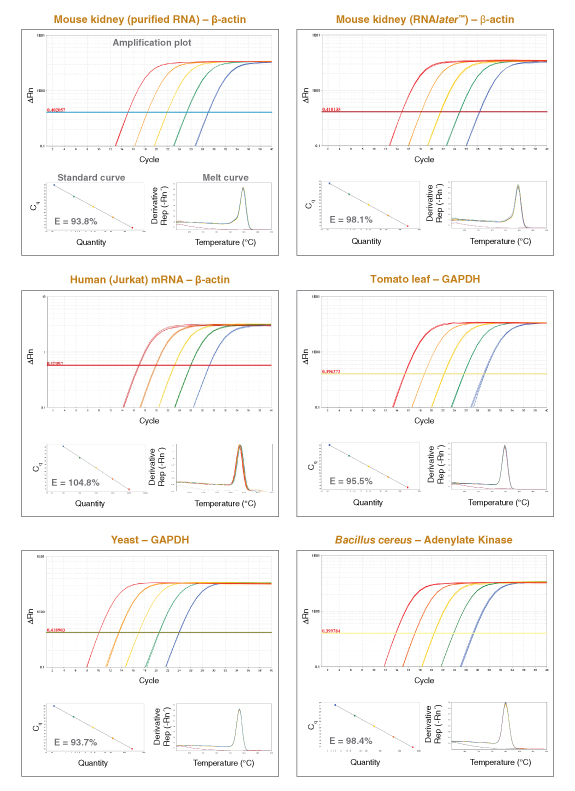 Luna® 通用一步法 RT-qPCR 试剂盒 |