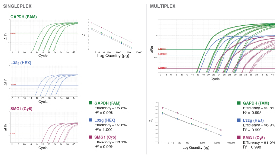 Luna® 通用探针法 qPCR 预混液  |