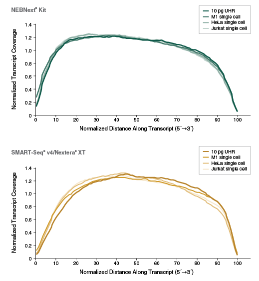 Next® Single Cell/Low Input RNA Library Prep Kit for Illumina® |