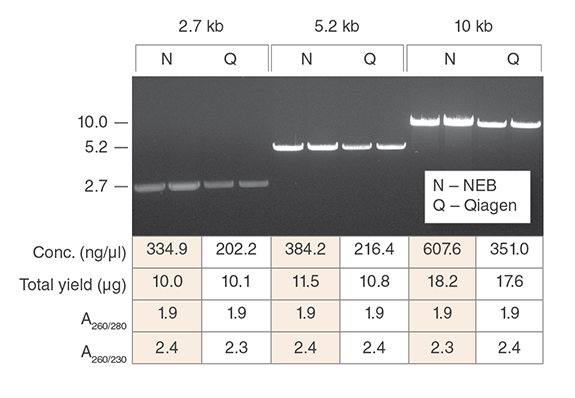 Monarch® Plasmid Miniprep Kit |