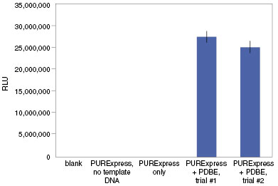 PURExpress® 二硫键增强剂 |