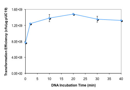 T7 表达 lysY/Iq E. coli 感受态细胞（高效级） |