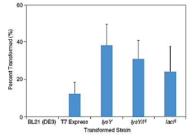 T7 表达 E. coli 感受态细胞（高效级） |