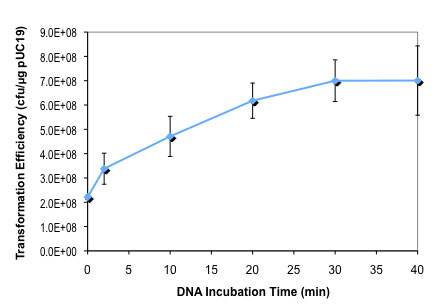 T7 表达 E. coli 感受态细胞（高效级） |