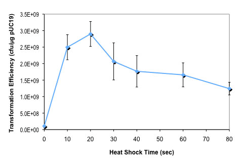 Express® Iq Competent E. coli (High Efficiency) |