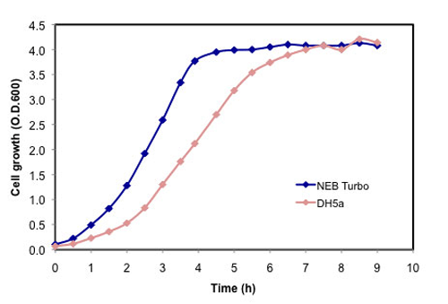 Turbo E. coli 感受态细胞（高效级） |