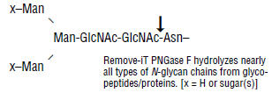 Remove-iT® PNGase F |