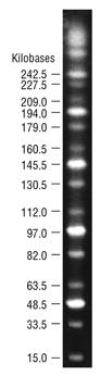 Midrange PFG Marker |